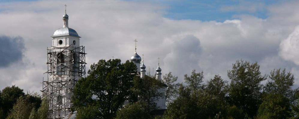 
            Фотография Черемошника