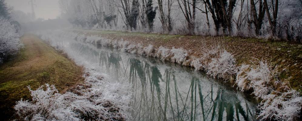 
            Фотография Тривиньяно