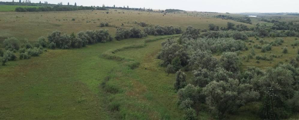 
            Фотография Тарасо-Григорьевки