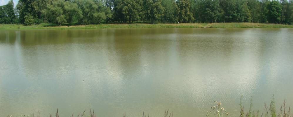 
            Фотография Дунилово