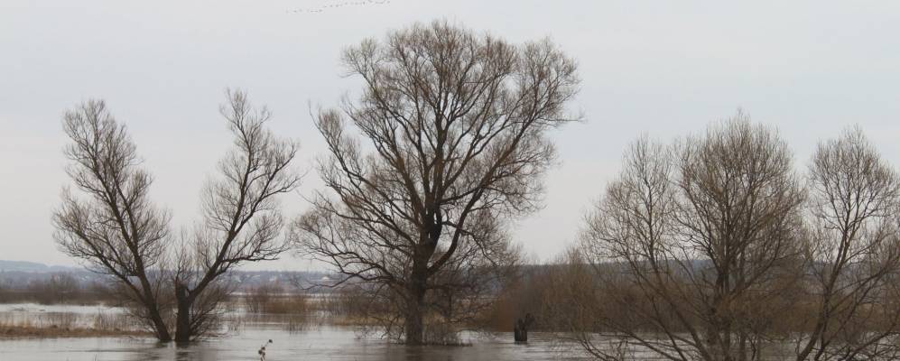
            Фотография деревни Нижние Брусы