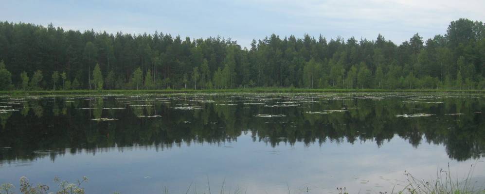 Фотография Вердуги