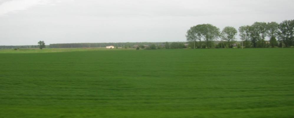 Фотография деревни Хвойняны