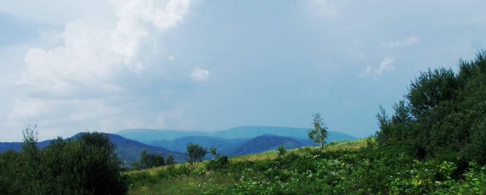 
            Фотография Медведевцы