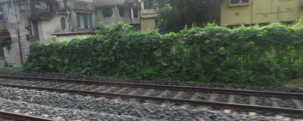 
            Фотография Бэйдьябати