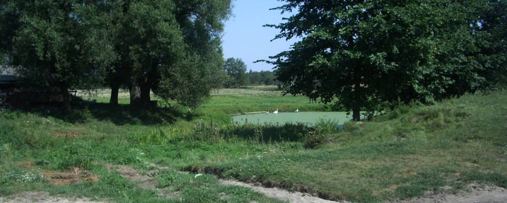 
            Фотография Шумиловки