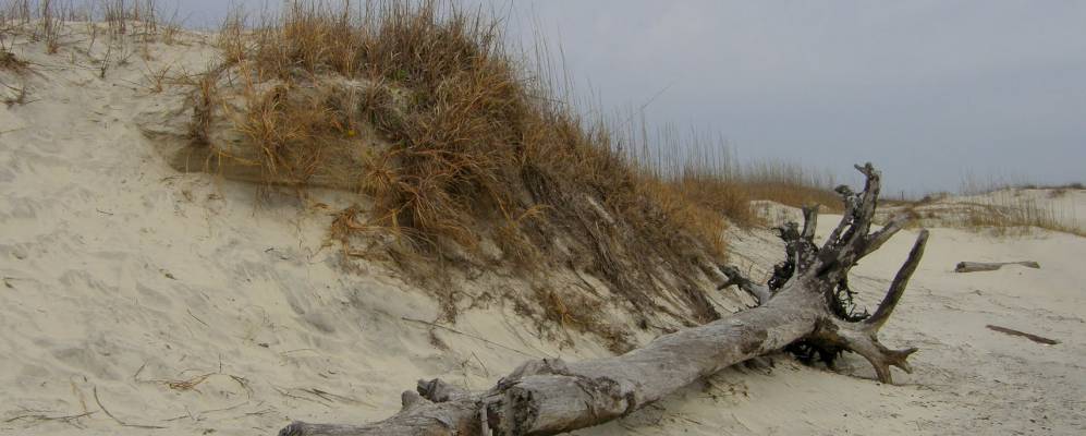 
            Фотография Тайби-Айленд