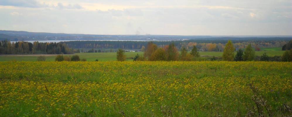 
            Фотография Молотниково