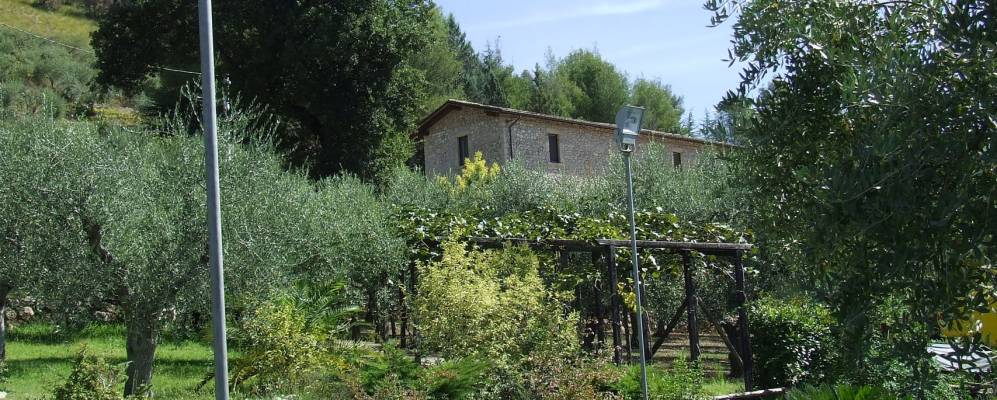 
            Фотография Кольфеличе