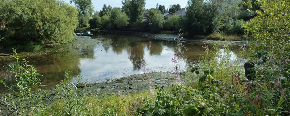 
            Фотография Одиночки