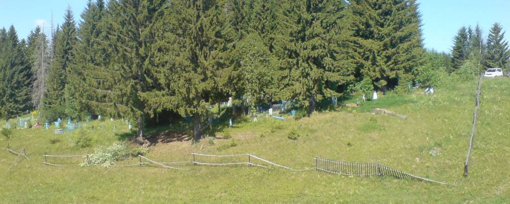 
            Фотография Гари