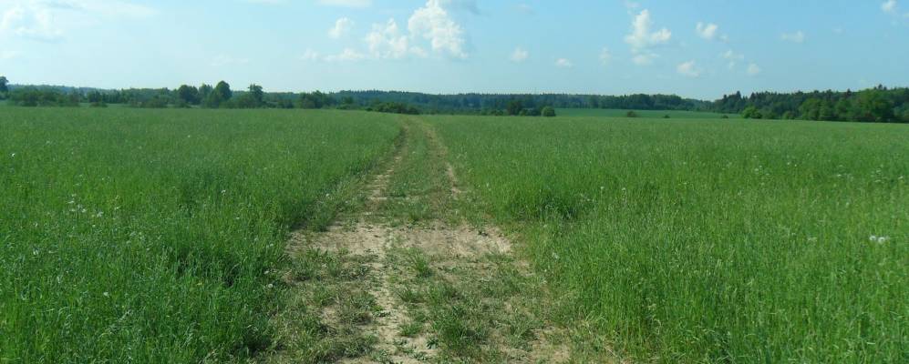 
            Фотография Сорокино