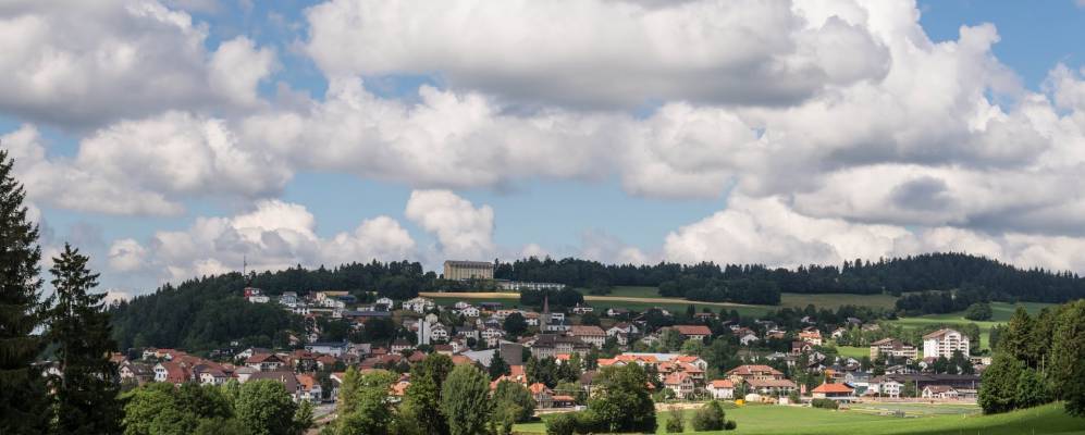 
            Фотография Нуармона