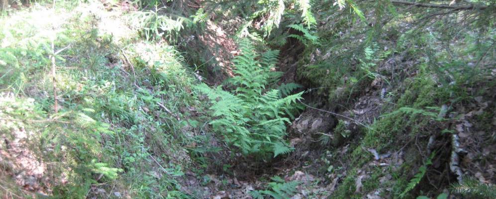 
            Фотография Касимовки