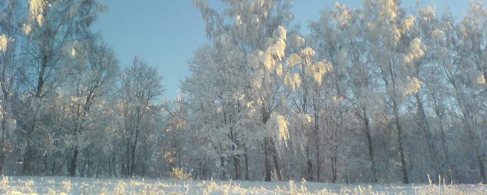 Фотография Нарышкино