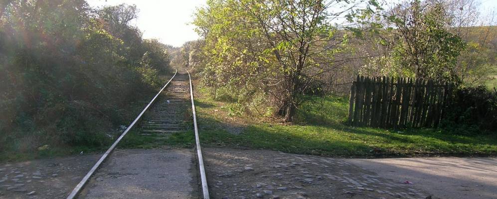 
            Фотография Филипестий де Падюра