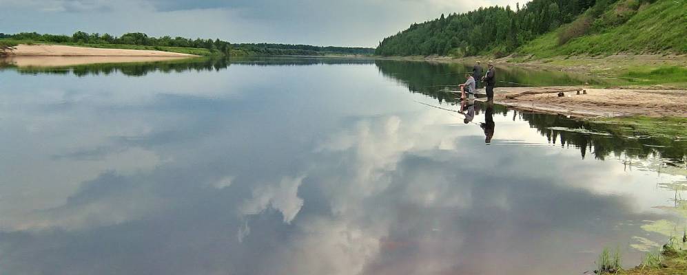 Фотография Маджи