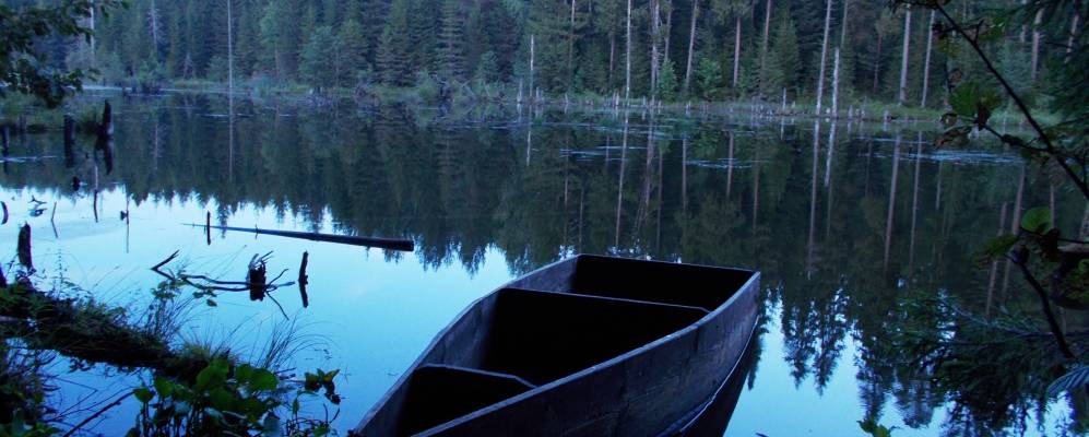 
            Фотография Ярков