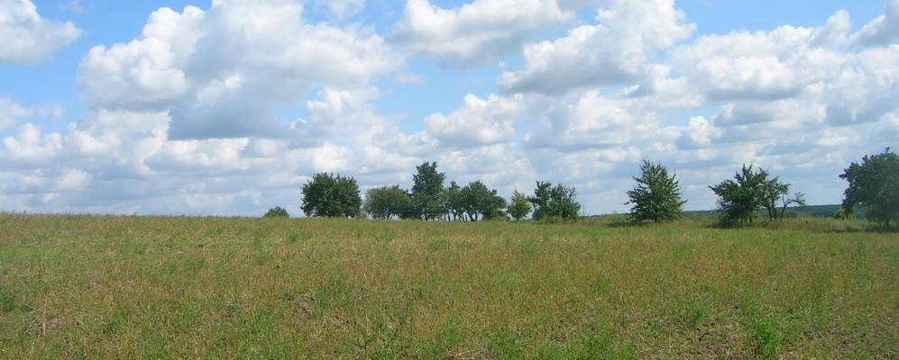 
            Фотография Плоского