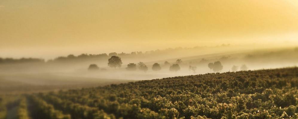 
            Фотография Гундерсхайма