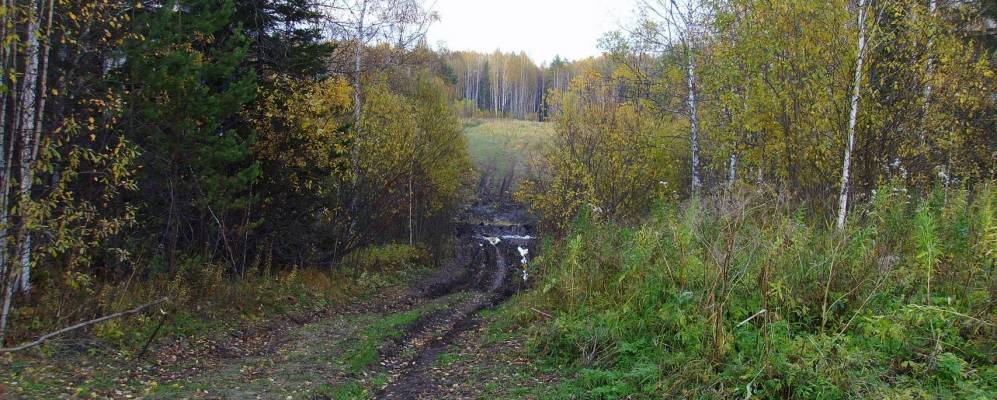 
            Фотография Тимирки