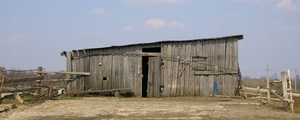 
            Фотография Мирского