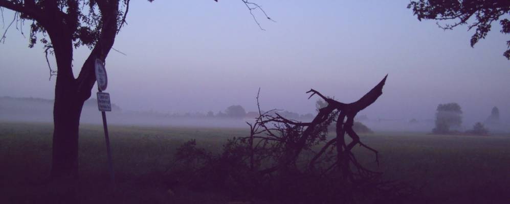 
            Фотография Розаривилла