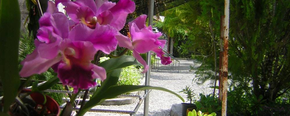 Фотография Миду