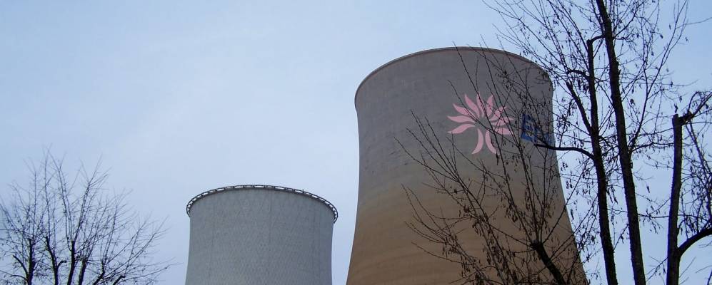 
            Фотография Мелето