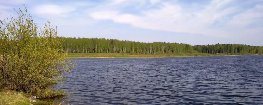 
            Фотография Чуприяново