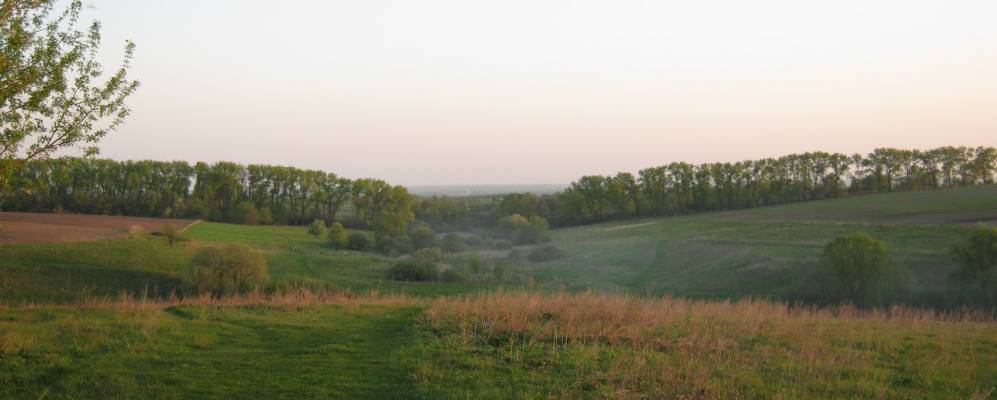 
            Фотография Минаково