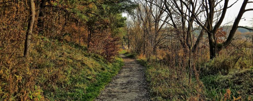 Фотография Новоселки