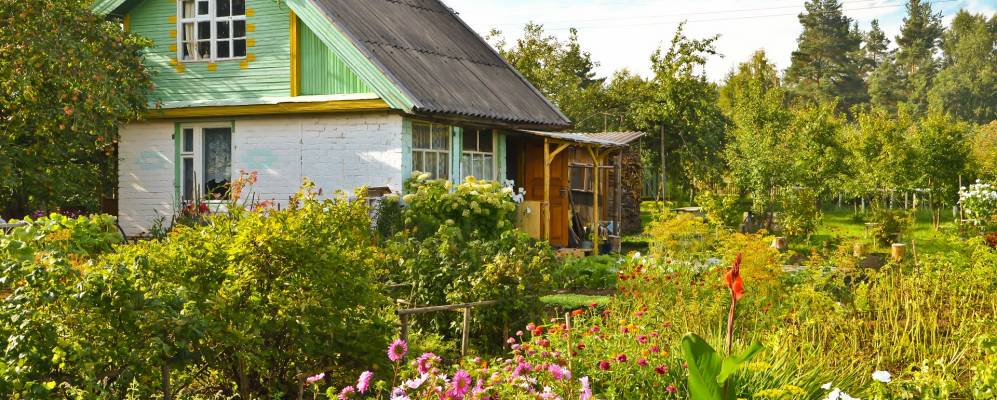 
            Фотография Плосково