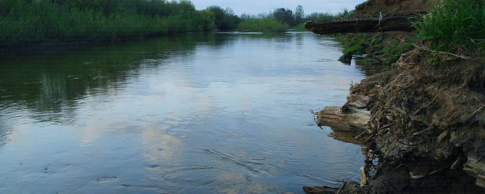 
            Фотография Сивково