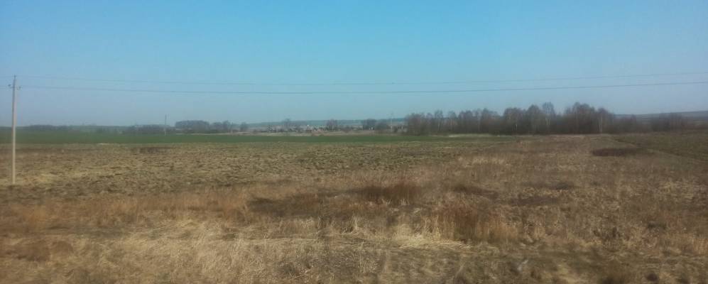 Фотография деревни Лесники