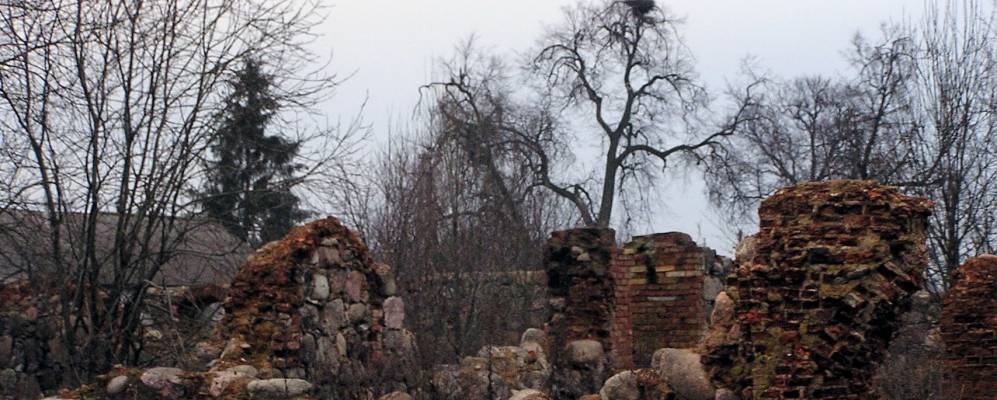 Фотография Выдрино