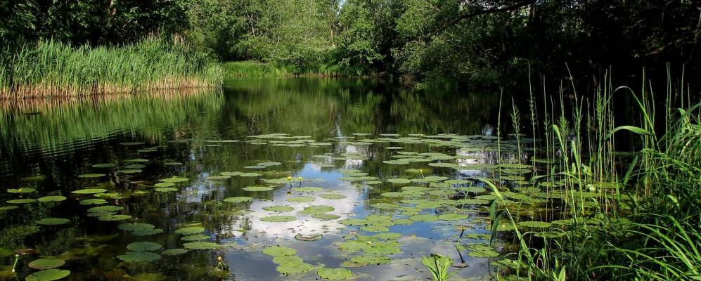 Фотография Трупехино
