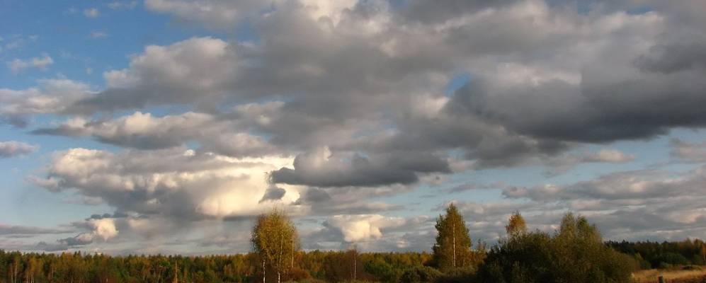 
            Фотография Пьянгуса