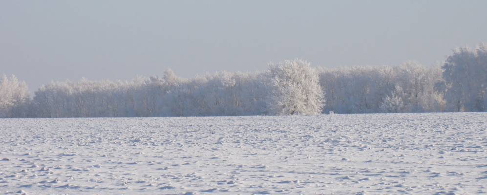 Фотография Недоходовки