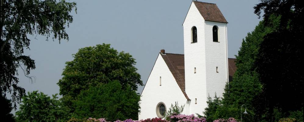 
            Фотография Растеде