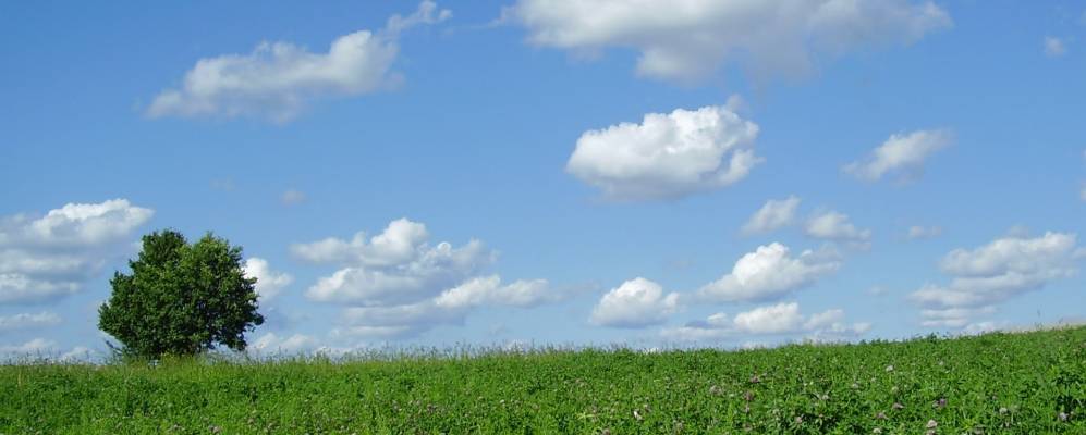 
            Фотография Глуховой