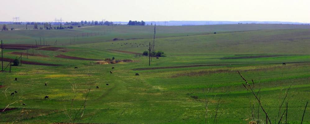 
            Фотография Курьянки