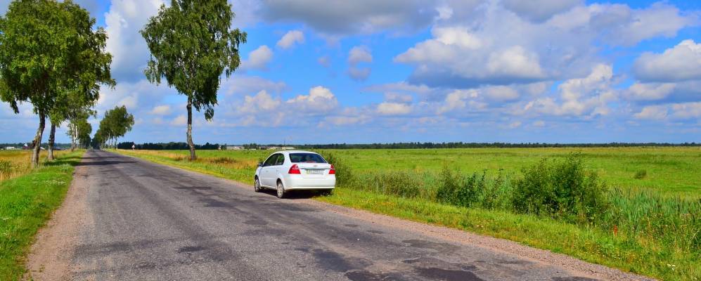 
            Фотография Жизновы