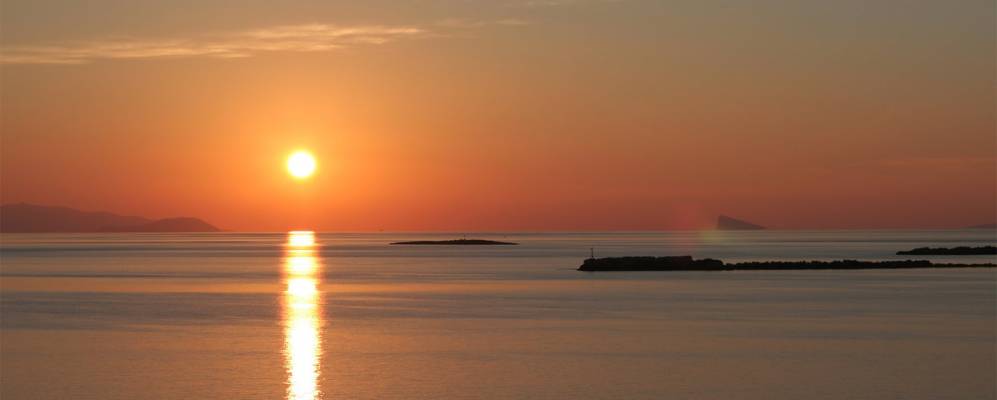 
            Фотография Финикаса