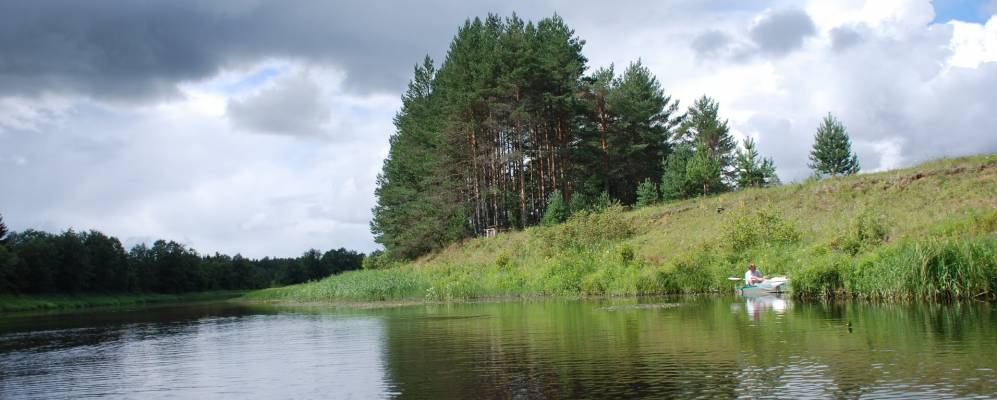 
            Фотография Деревяги