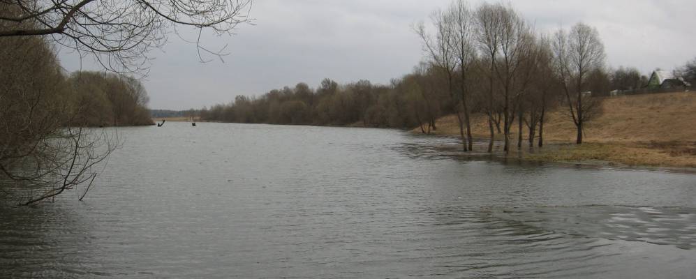 
            Фотография Ивакино