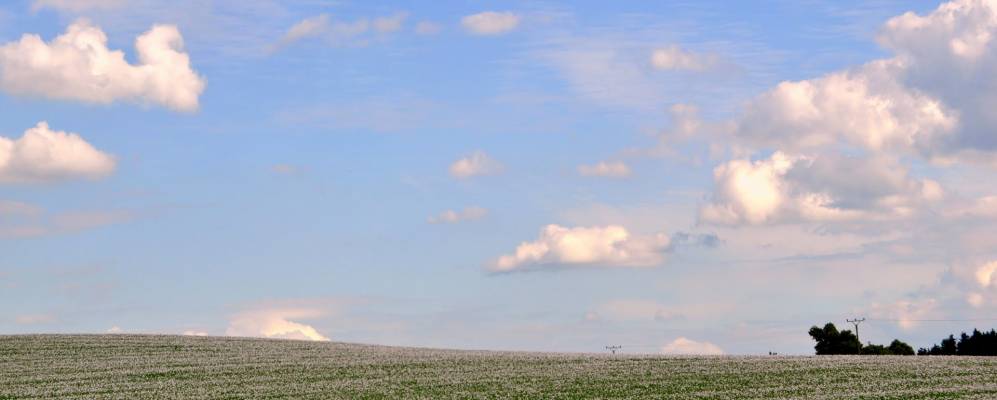 
            Фотография Лазаны