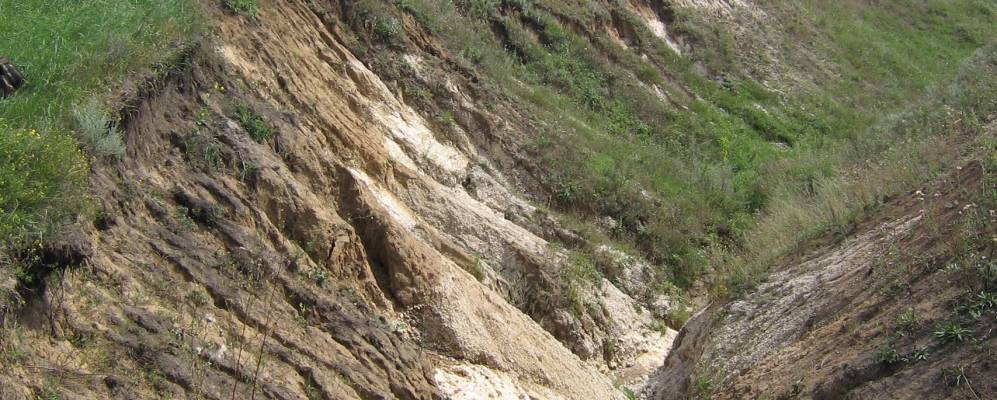 Фотография Круглого Леса