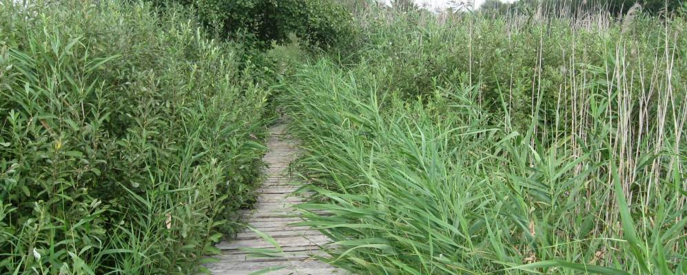 Фотография хутора Плесо