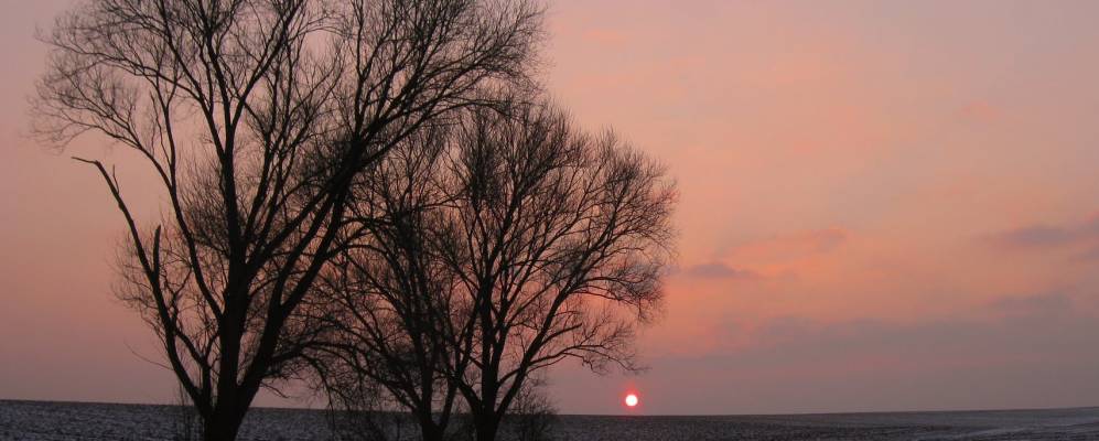 
            Фотография Псари